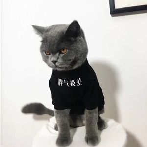 Meet your Posher, Ziyan